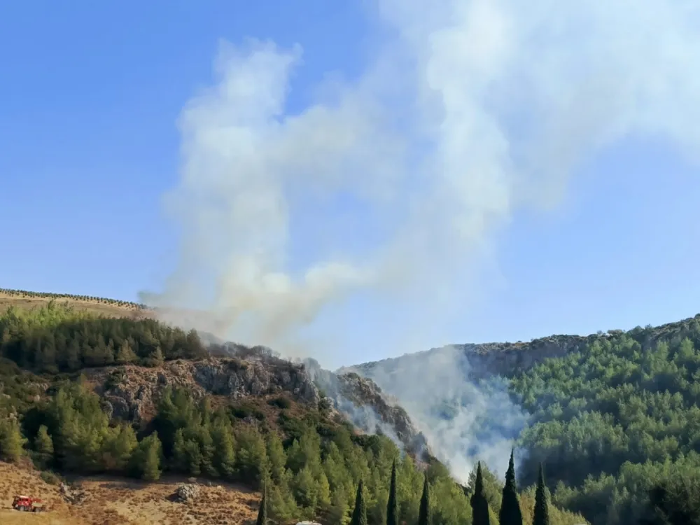 Hatay’da orman yangını!