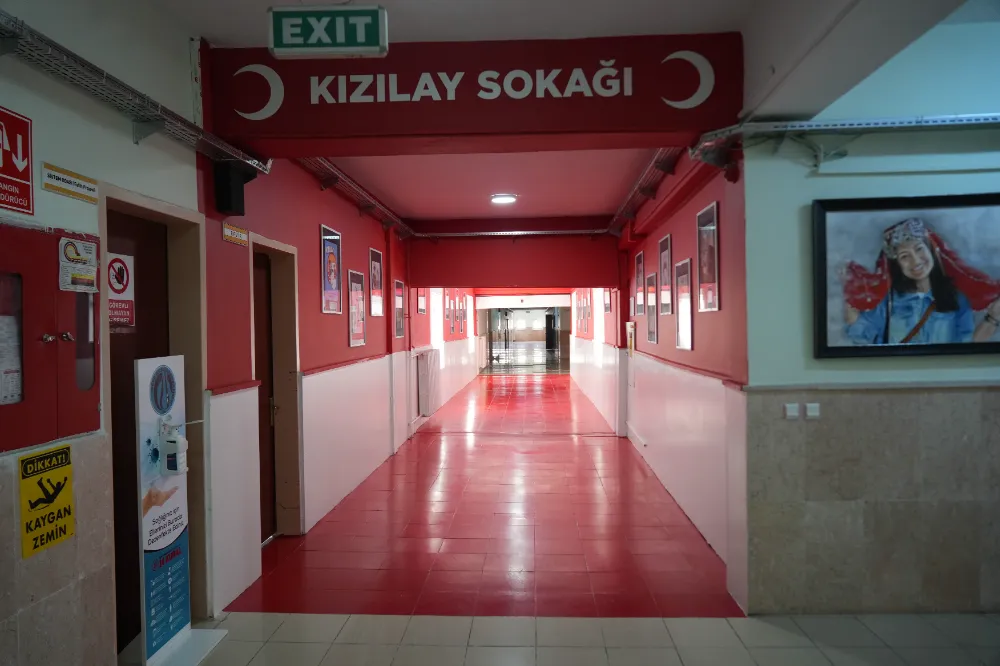 NİĞDE GÜZEL SANATLAR LİSESİ