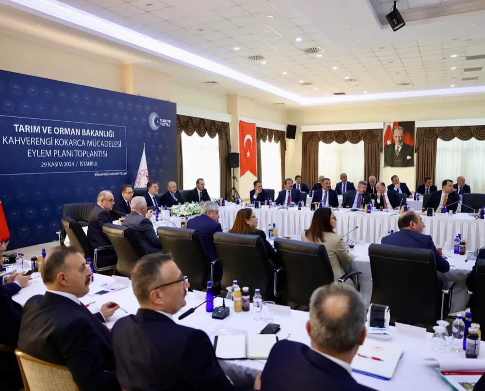 1 Milyon Samuray Arısı Doğaya Salınacak!