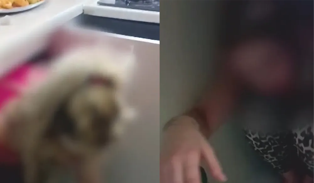 17 yıl hapis cezası bulunan kadın, mutfak dolabında saklanırken yakalandı