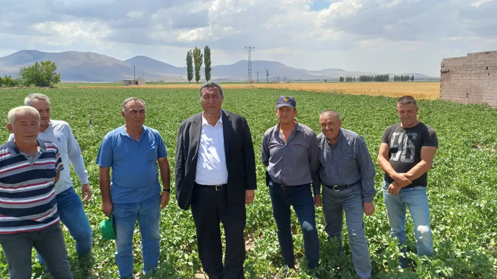 Gürer: Patates üreticisi kaygılı