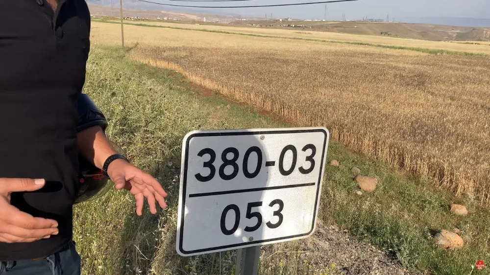 Kimse farkında değil: Yol kenarındaki küçük beyaz tabelalar hayatınızı kurtarıyor!