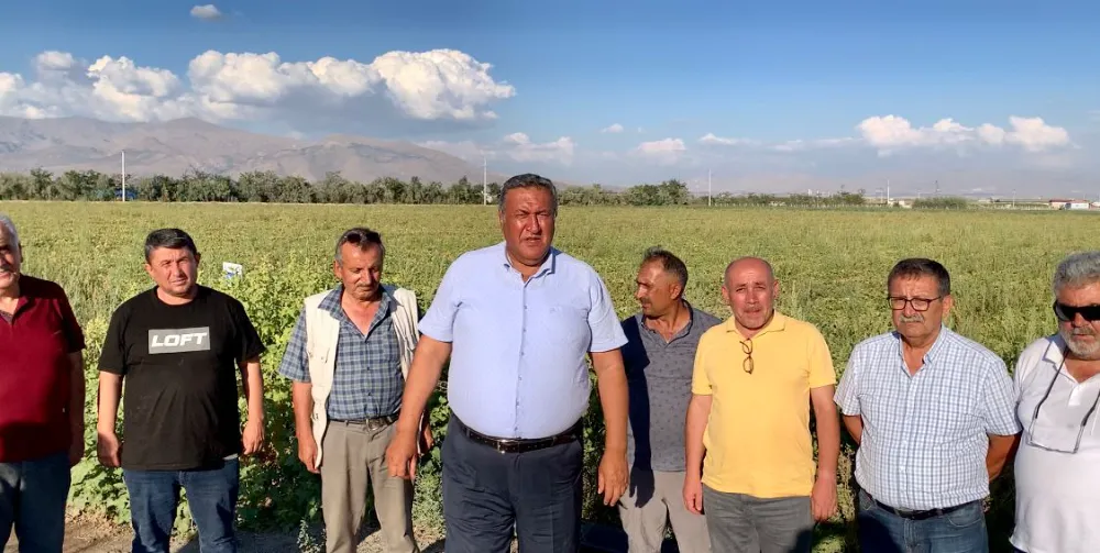 Gürer: Domates üreticileri ekonomik çöküş yaşıyor