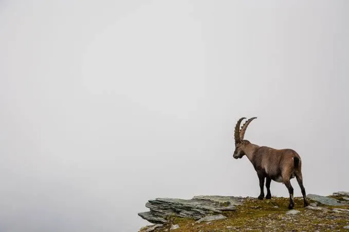 Bugün Dünya Hiçbir Şey Günü Sadece Dur ve Dinlen! Mümkün mü?