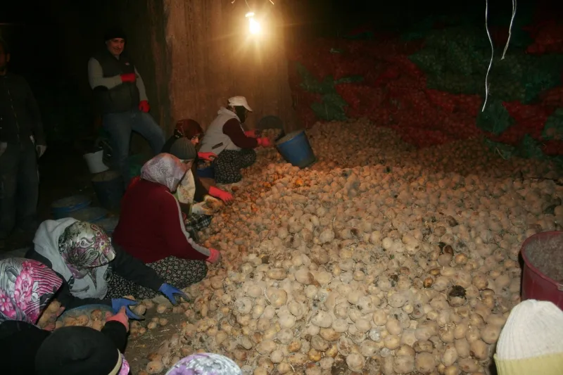 Niğde’de Patates Üreticileri Zor Durumda