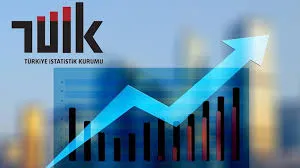 Tüketici fiyat endeksi (TÜFE) yıllık %44,38, aylık %1,03 arttı