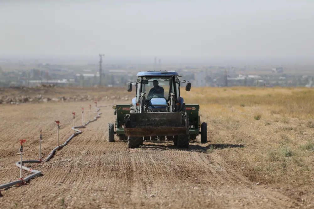 NÖHÜ TARIMA KATKI SAĞLIYOR: ÜNİVERSİTE ARAZİLERİNDE YEM BİTKİLERİ YETİŞTİRİLİYOR (VİDEO HABER)