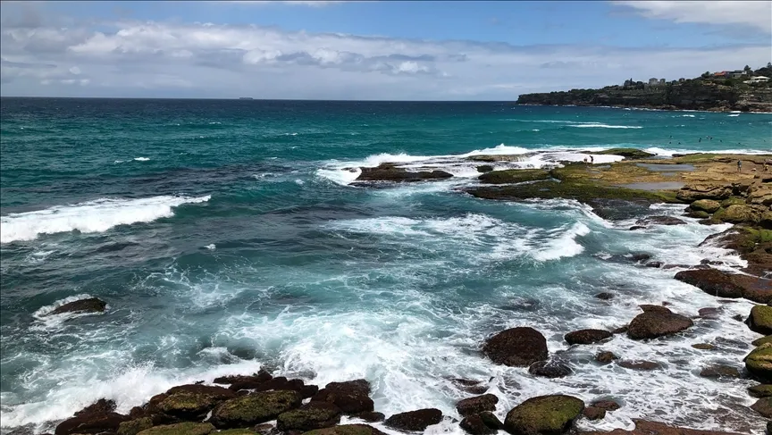 TARİHTEN GELEN MESAJ:109 YILLIK SIR KIYIYA VURDU