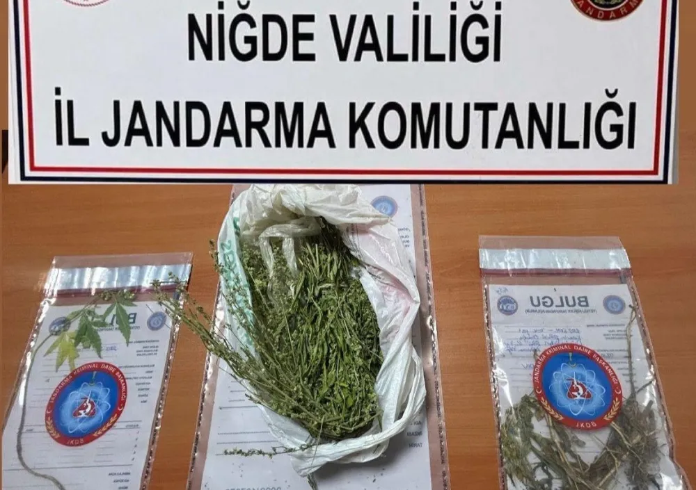 NİĞDE’DE UYUŞTURUCU VE YASADIŞI KENEVİR OPERASYONU: 3 GÖZALTI