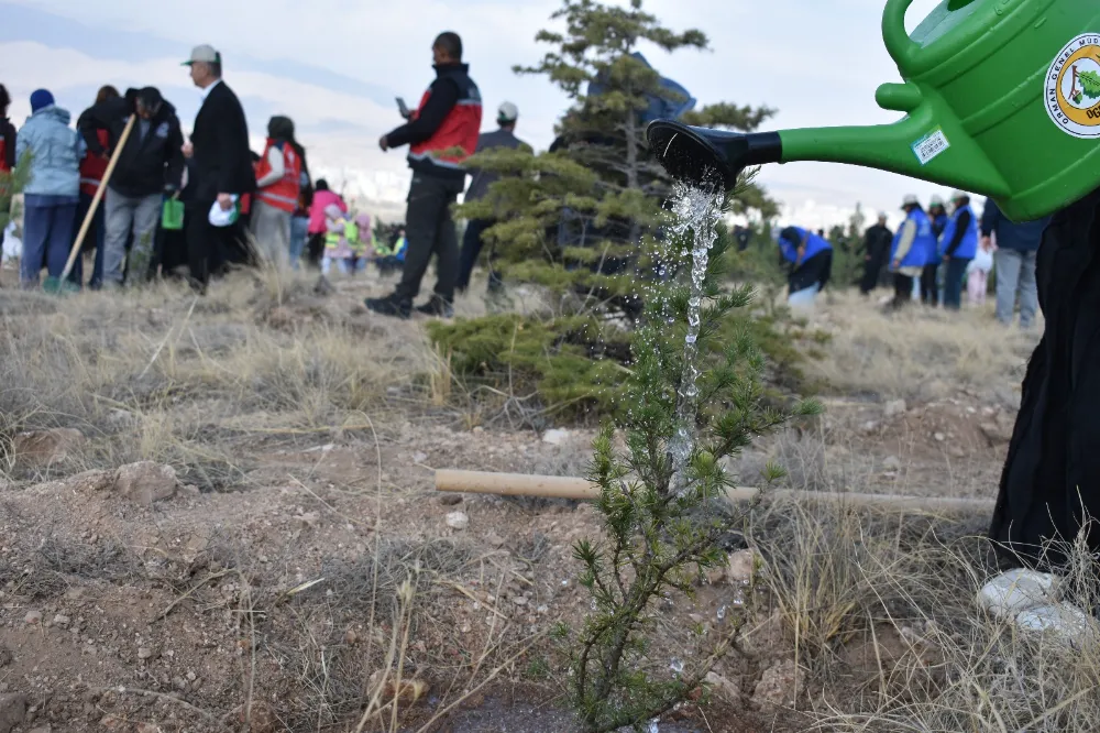 NİĞDE, MİLLİ AĞAÇLANDIRMA GÜNÜNDE GELECEĞE NEFES OLDU (VİDEO HABER)