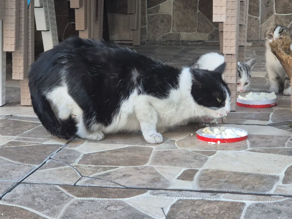 “KIŞ GELDİ, ONLARI UNUTMAYALIM”