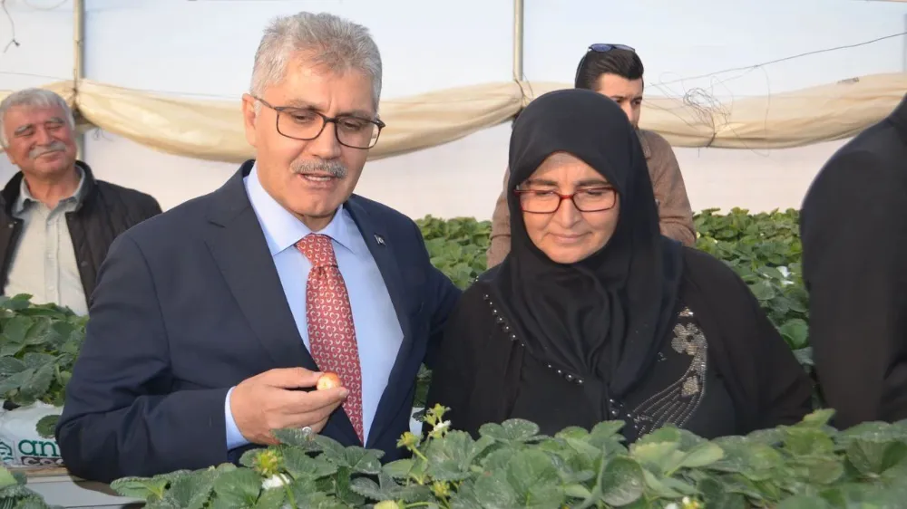 VALİ ÇELİK: RÜZİYE HANIMIN GİRİŞİMCİLİĞİ TÜM ÇİFTÇİLERE ÖRNEK (VİDEO HABER)
