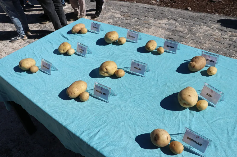 PATATESİN BAŞKENTİ NİĞDE’DEN SİVAS’A BİLİMSEL DESTEK