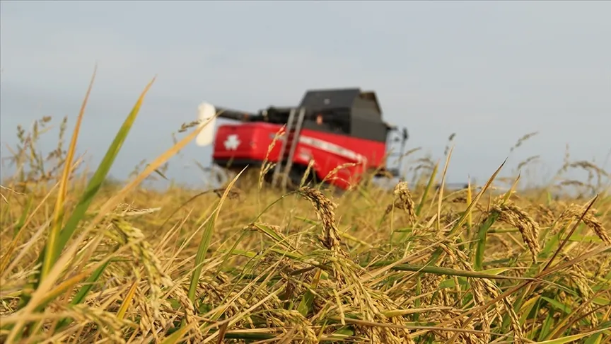 Tarım sigortaları kapsamında kasımda üreticilere 4,2 milyar lira hasar tazminatı ödendi