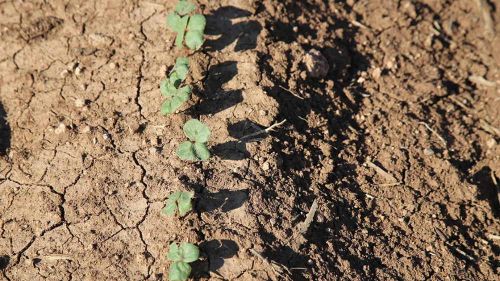 TOPRAĞIN GİZLİ GÜCÜ NÖHÜ’DE