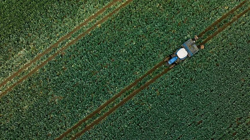 Çiftçilere 1,1 milyar liralık tarımsal destekleme ödemesi bugün yapılacak