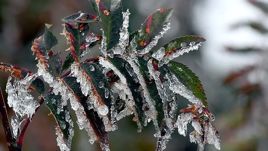 NİĞDE İÇİN METEOROLOJİK UYARI SOĞUK HAVA VE ZİRAİ DON TEHLİKESİ!