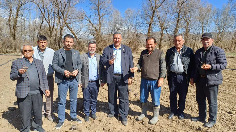 Gürer: “Beş ilde elmada büyük kayıp”