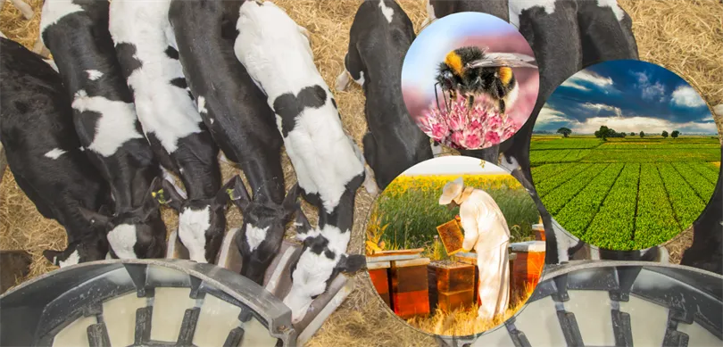 5,1 MİLYAR LİRALIK DESTEKLEME ÖDEMESİ HESAPLARA AKTARILIYOR