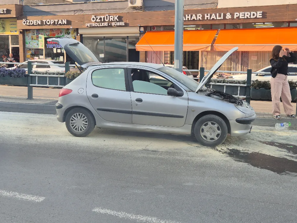 NİĞDE