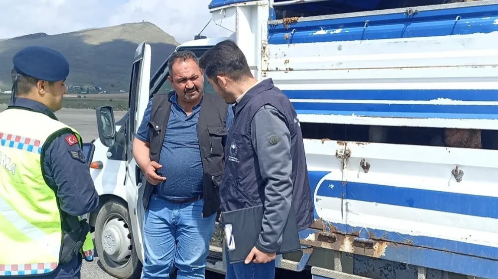 KURBAN BAYRAMI ÖNCESİ HAYVAN HAREKETLİLİĞİNE SIKI DENETİM