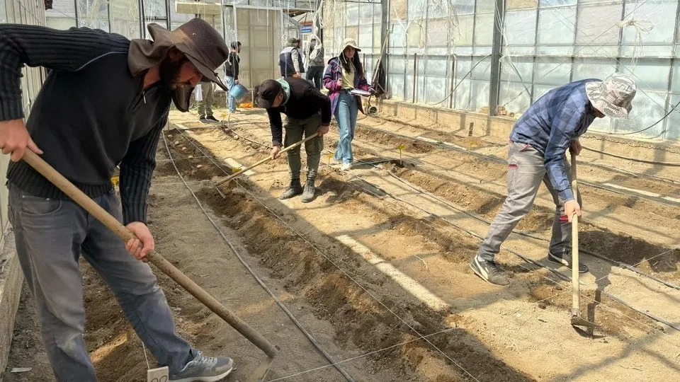 Niğde Patates Araştırma Enstitüsü Bahar Sezonuna Hızlı Giriş Yaptı