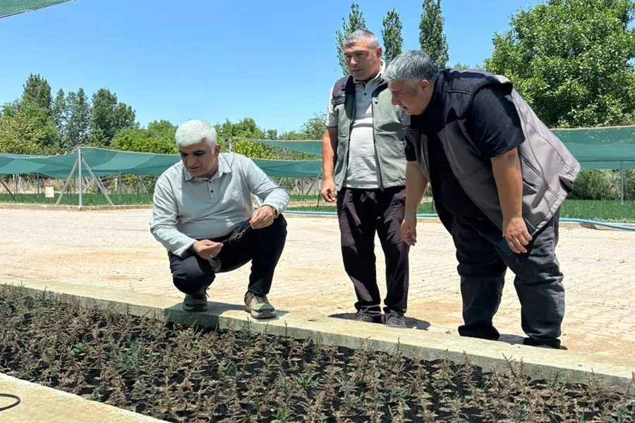 KAYSERİ ORMAN BÖLGE MÜDÜRÜ ULUKIŞLA’DA İNCELEMELERDE BULUNDU