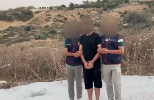 MERSİN’DE BİR KADINI ÖLDÜRÜP ORMANA BIRAKTIKLARI İDDİASIYLA 2 ZANLI TUTUKLANDI