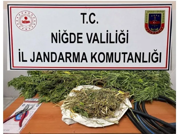 NİĞDE’DE 727 GRAM ESRAR VE 33 KÖK KENEVİR ELE GEÇİRİLDİ